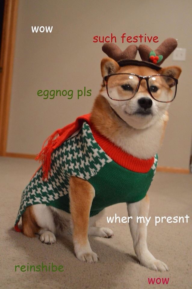 Image via Dogs in Christmas Sweaters