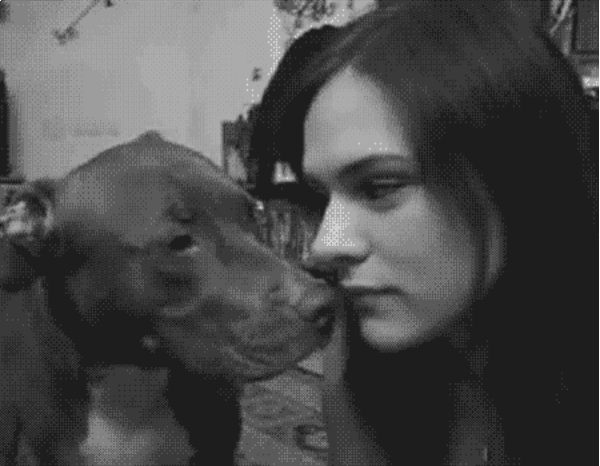 Image result for dogs with humans gifs