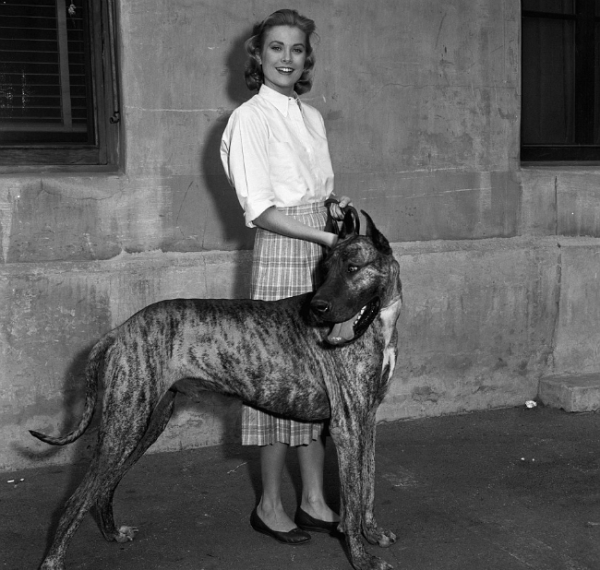 grace kelly with great dane