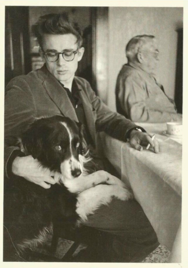 james dean and collie dog tuck