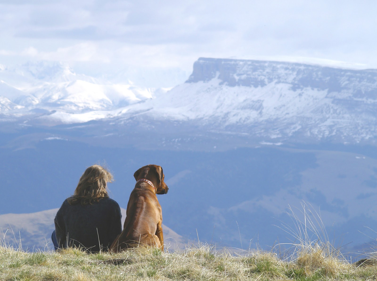 Dog and owner sitting on a mountaintop looking at the view