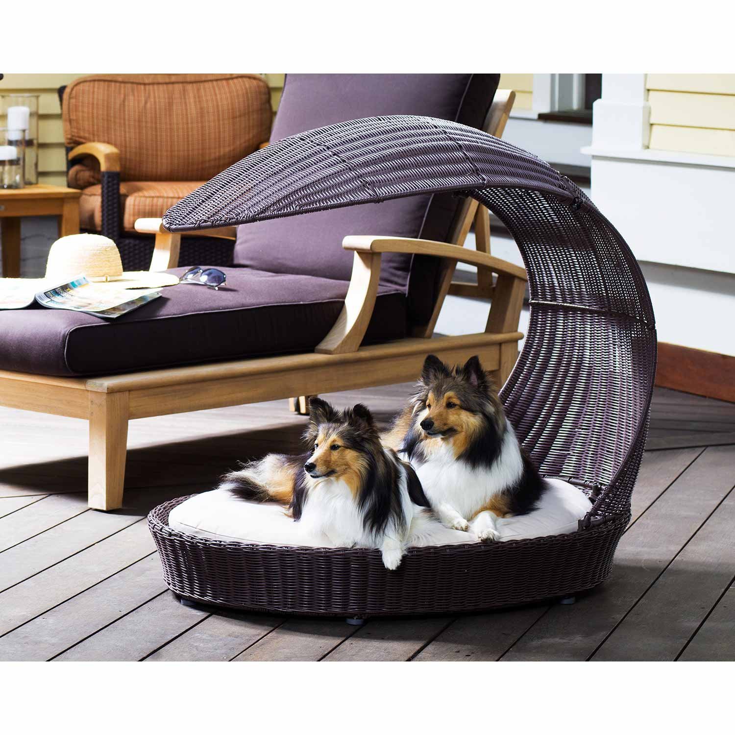 12 Beautiful Dog Beds That Will Instantly Enhance Your Home's Decor
