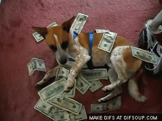 dog-rolling-in-money-o.gif