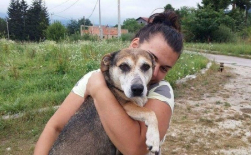 Neglected Dog Walks Miles To Find A Kind Human To Save Her Starving Puppies