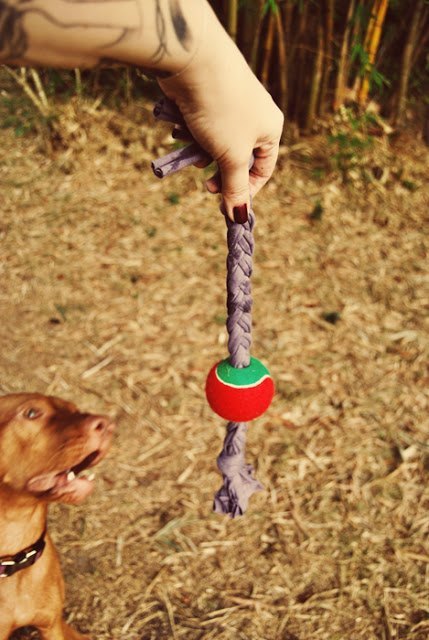 dog toys from recycled materials
