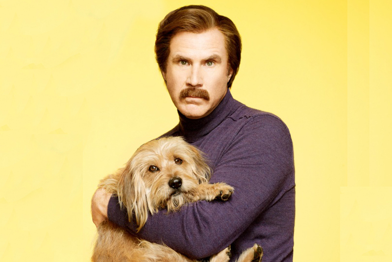 What Kind Of Dog Is Baxter In Anchorman