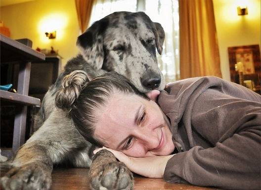 17 Reasons Why A Dog Makes Your Life More Awesome