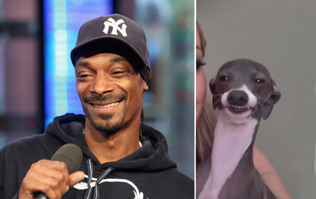 Snoop Dogg�s Secret Soft Spot That Everyone Needs to Know BarkPost