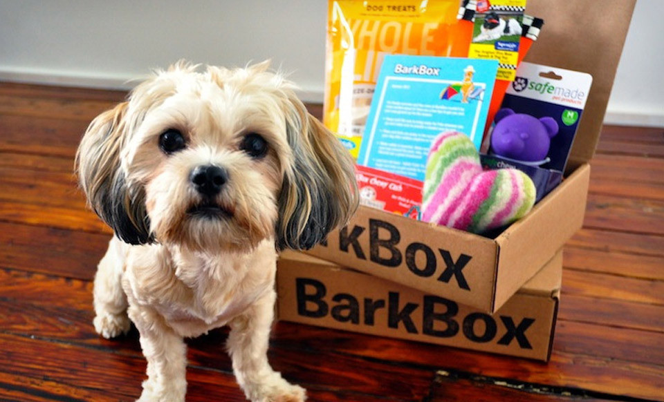 barkbox for dogs