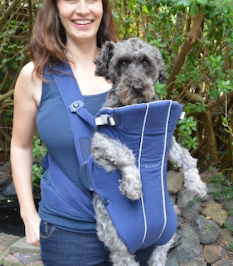 baby bjorn carrier for dogs