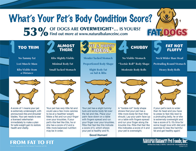 Healthy Dog Weight Chart