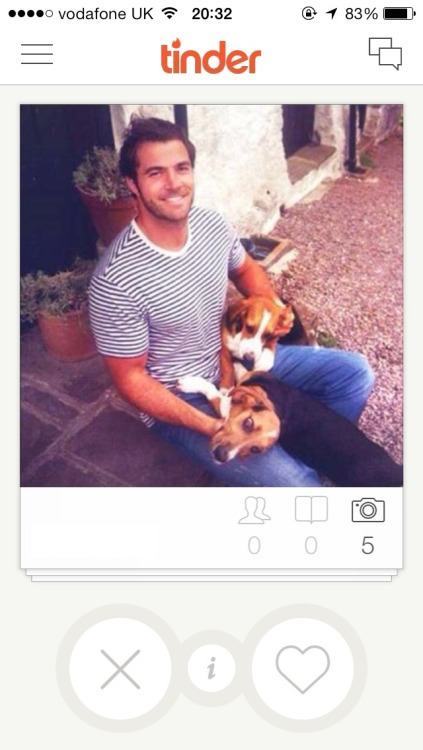 Tinder dogs funny bios about Swipe Life