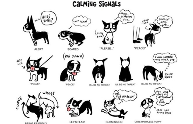 Dog Communication: What Does A Dog's Body Language Mean ...