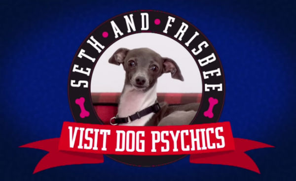 Seth Meyers Called On Dog Psychics To Tell Him What His Dog Couldn