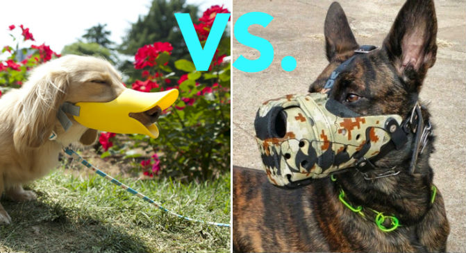 novelty muzzles for dogs