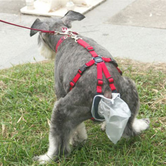 19 Ridiculous Dog Accessories That 