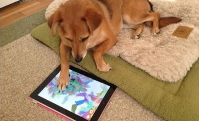 Image result for dog with ipad