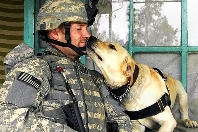 Soldier-nose-to-nose.jpg