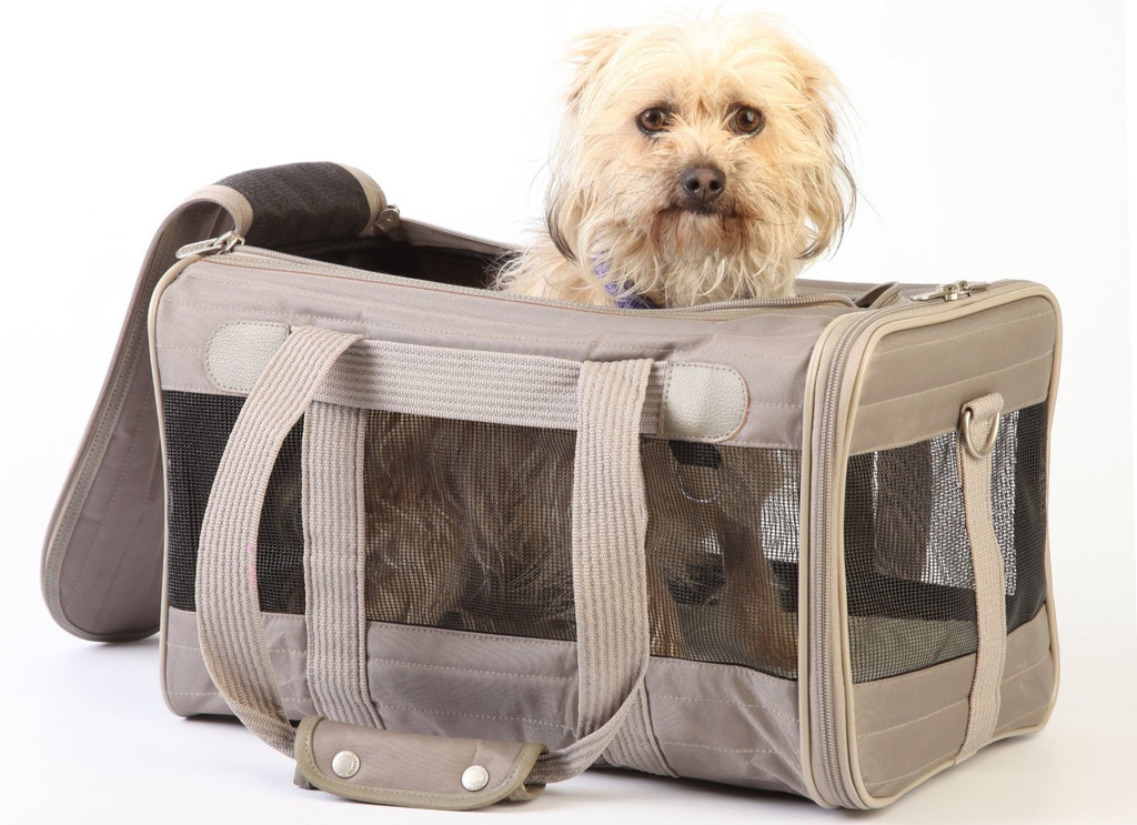 pet dog travel carrier