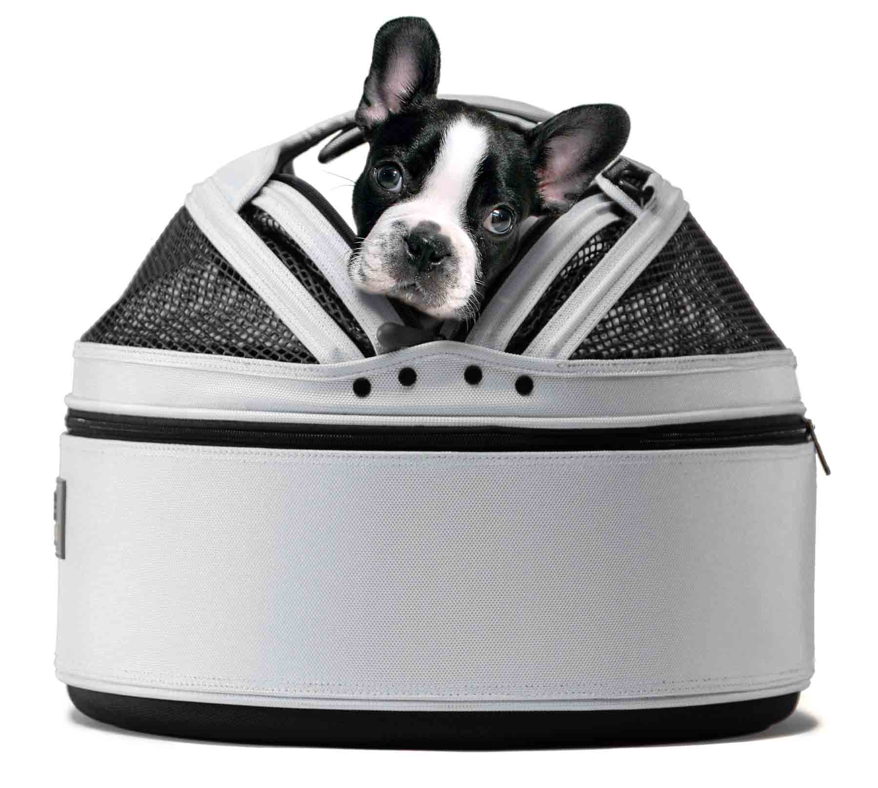 11 Of The Best Travel Carriers For Dogs