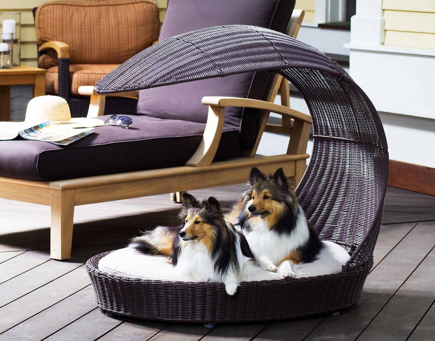 12 Beautiful Dog Beds That Will Instantly Enhance Your