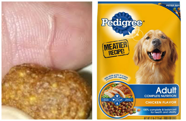 dog food brand