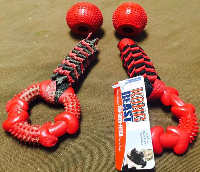 kong rope toys for dogs