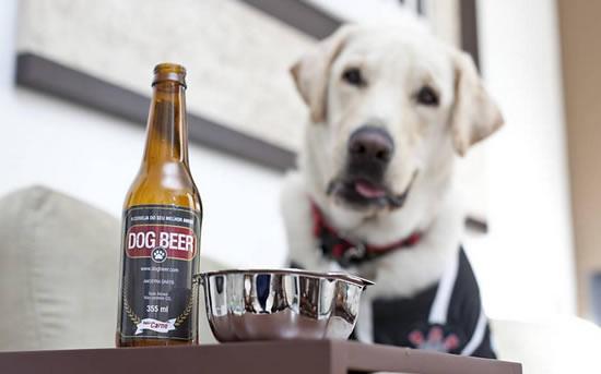 dog-beer-1.jpg