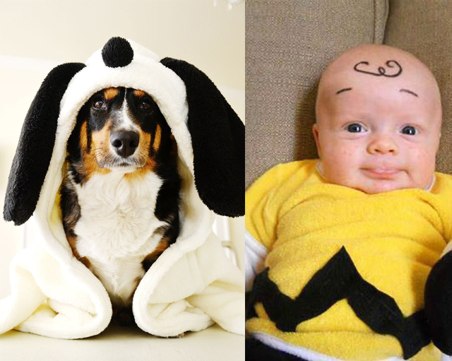 14 Adorable Couples Costume Ideas For Dogs And Kids Barkpost