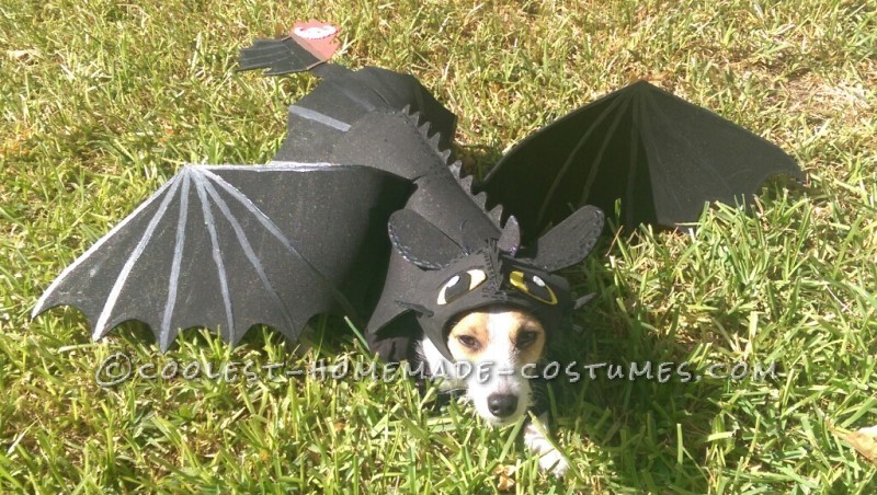 14 Adorable Couples Costume Ideas For Dogs And Kids Barkpost