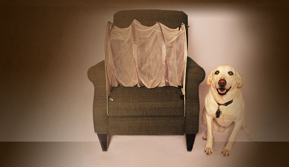 6 Ingenious Tips That Ll Help You Keep Your Couch Pup Free Barkpost