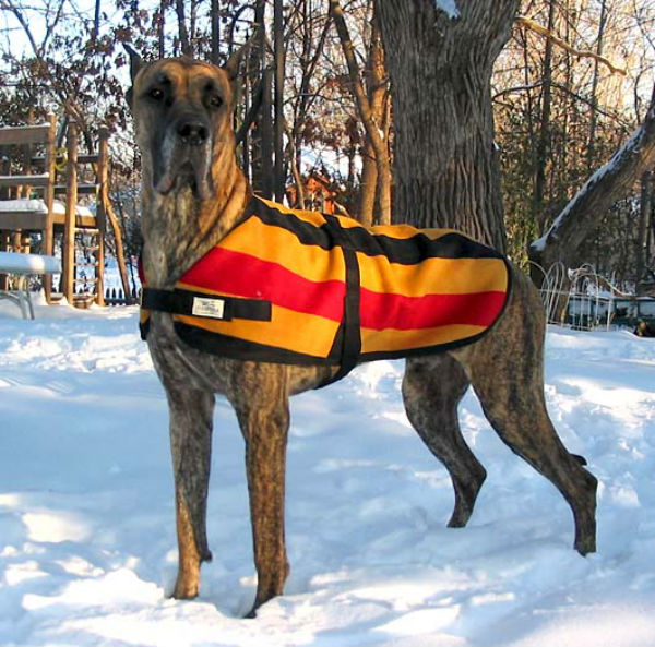 great dane sweaters for dogs