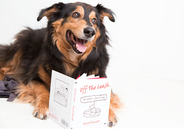 good dog book