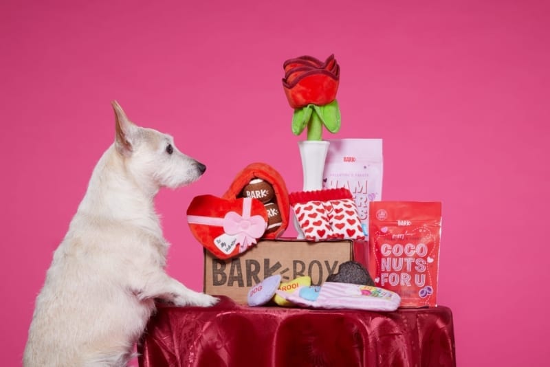 21 Valentine's Day Gifts For Dog Lovers 