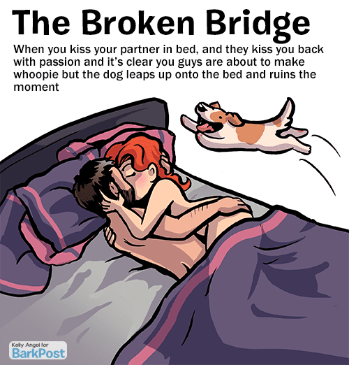 broken_bridge