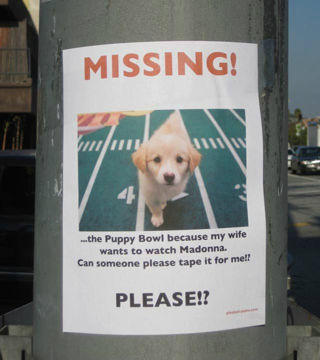 lost dog funny