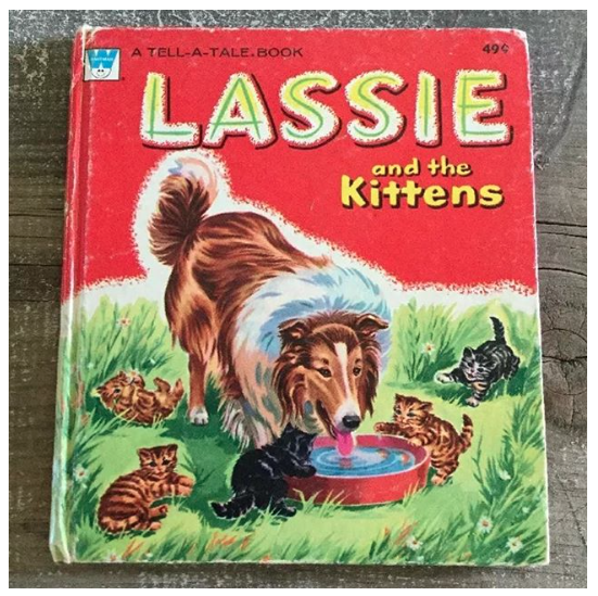 The True Story Of Lassie Americas Classic Collie Barkpost