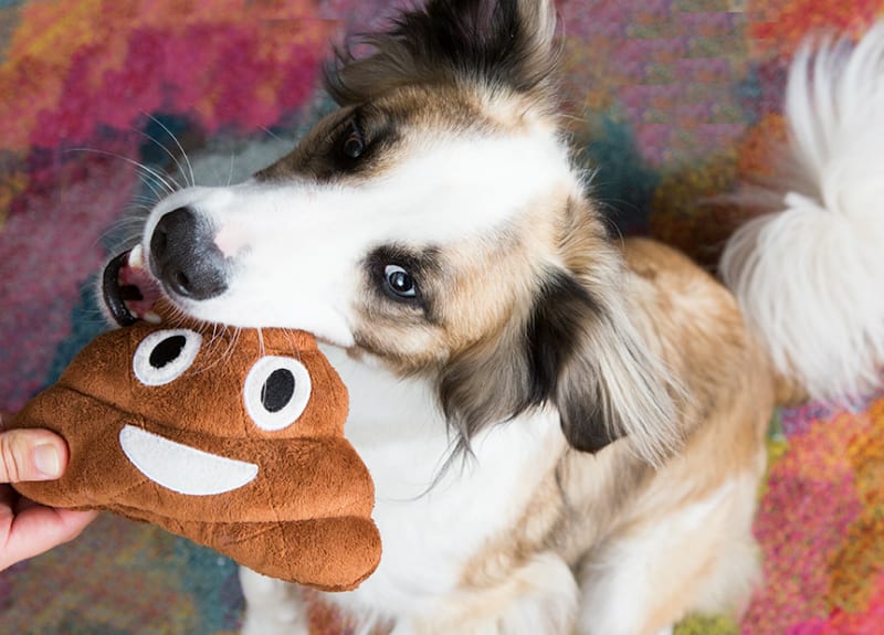 poop emoji toy for dogs