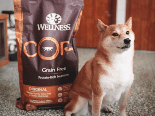 Our 10 Favorite Dry Dog Foods And Where To Buy Them For Less