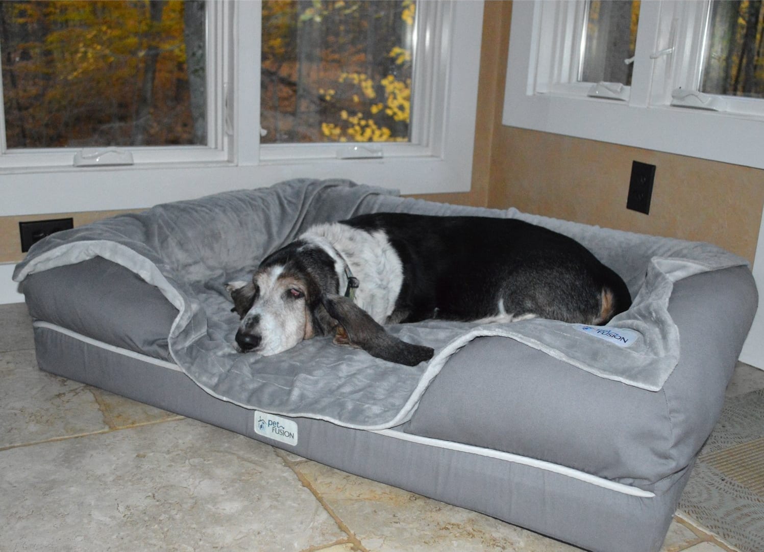 good dog beds for large dogs