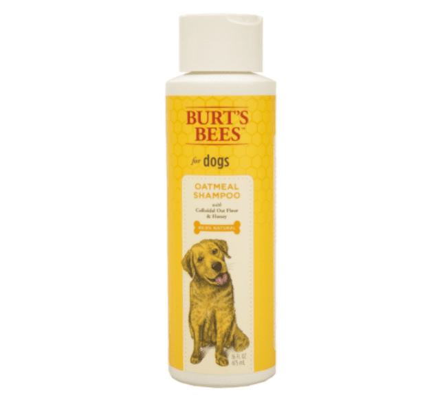 best dog shampoo for itching