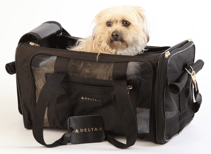 dog plane travel bag