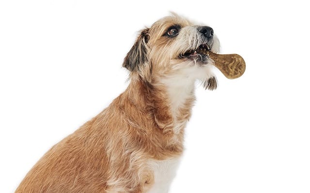 soft dog treats for bad breath