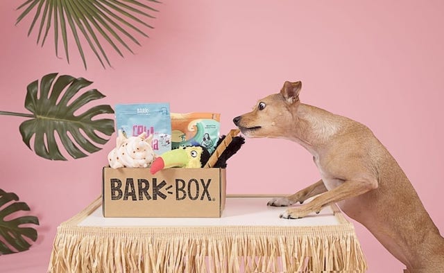 dog toy box canada