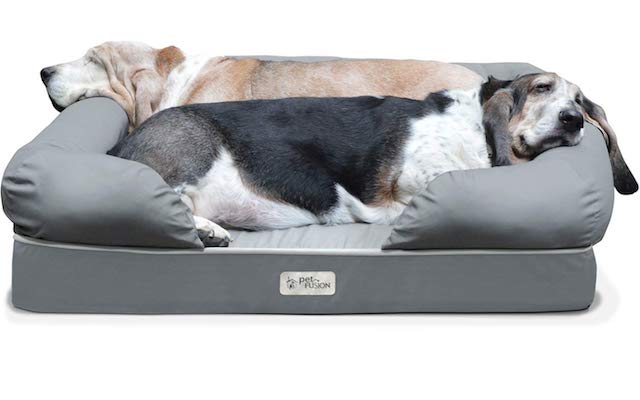 medium size dog bed