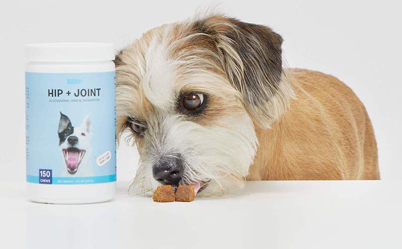 best dog treats for joint health