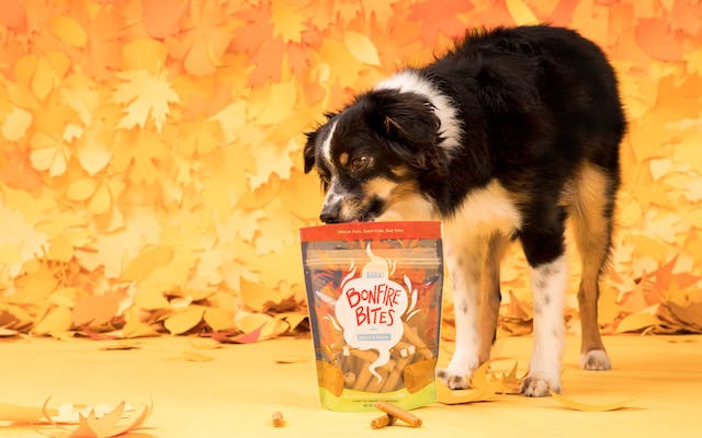 good dog treats for puppies