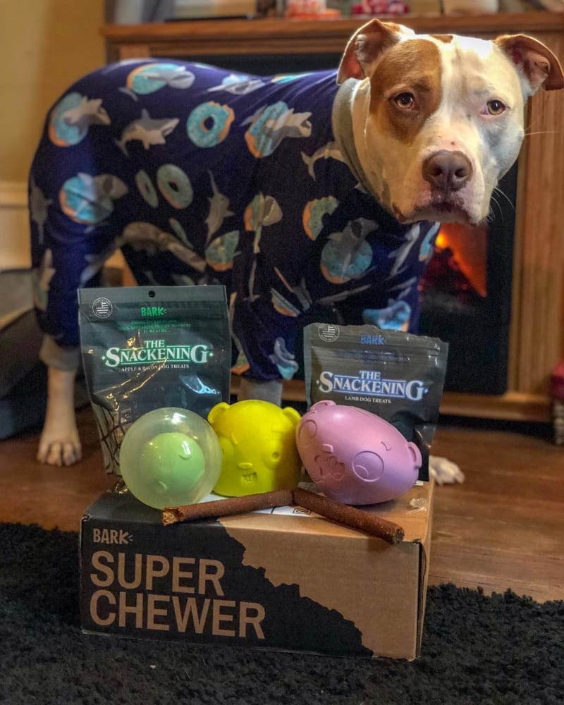 super chewer dog toys