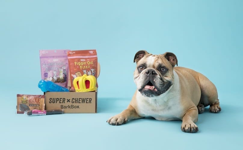 Bulldog With Super Chewer BarkBox