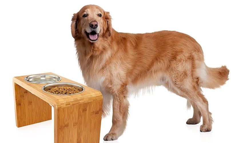 Dog Bowl Holder Supper with Two Dog Bowls Ideal for Large and Old Dogs